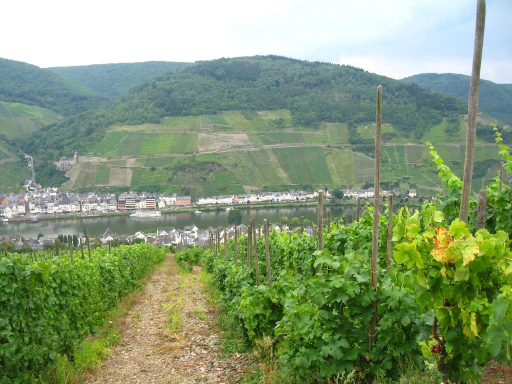 Haus Anna Villa Zell Buitenkant foto
